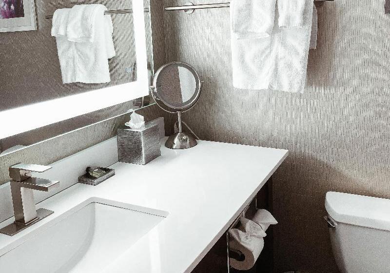 سوئیت با تخت بزرگ, Crowne Plaza Chicago Sw   Burr Ridge, An Ihg