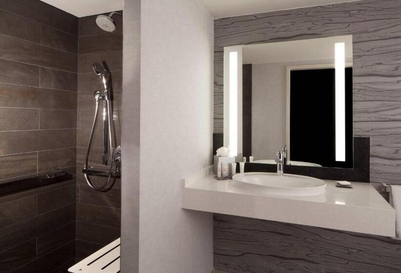 اتاق استاندارد با تخت بزرگ, Dallas/fort Worth Airport Marriott