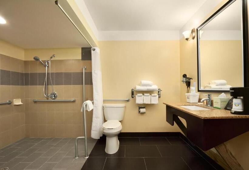 اتاق استاندارد با تخت بزرگ, Days Inn By Wyndham Fultondale