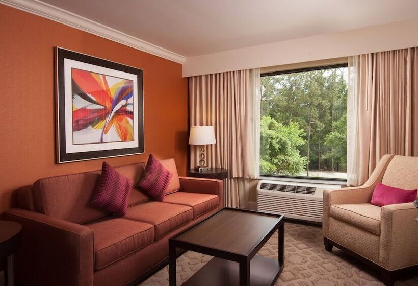 سوییت جونیور, Delta Hotels By Marriott Orlando Lake Buena Vista