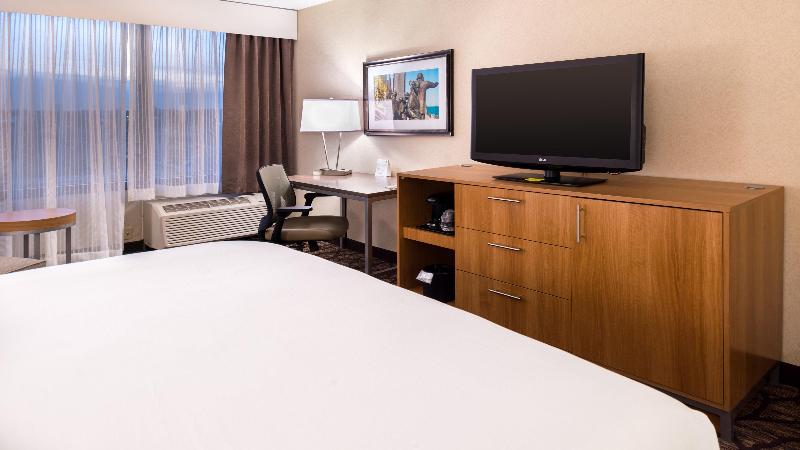 اتاق استاندارد با تخت بزرگ, Holiday Inn Hotel & Suites Warren, An Ihg