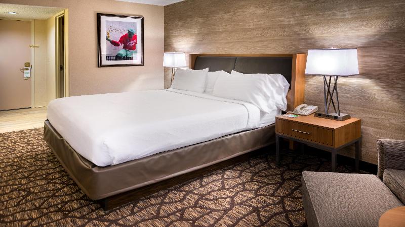اتاق استاندارد با تخت بزرگ, Holiday Inn Hotel & Suites Warren, An Ihg