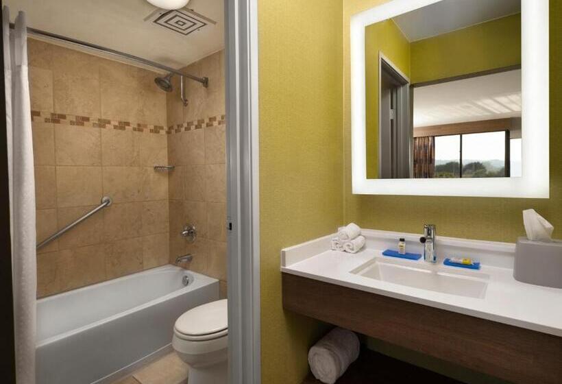 اتاق استاندارد با 2 تخت دوبل, Holiday Inn Express At Monterey Bay, An Ihg