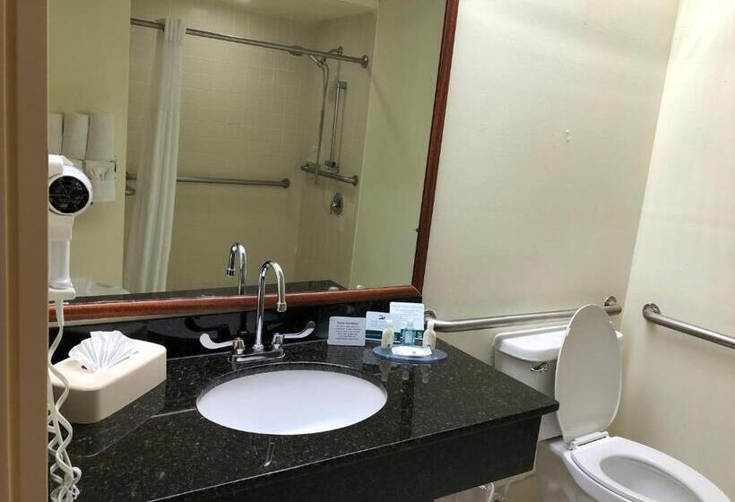 سوئیت با تخت بزرگ, Mi Casa