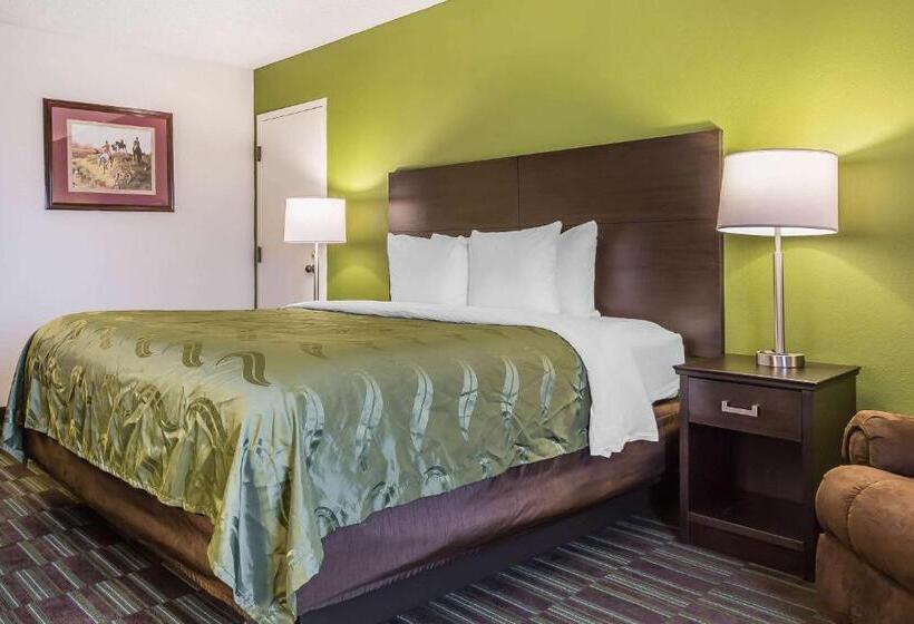 اتاق استاندارد با تخت بزرگ برای معلولان, Quality Inn