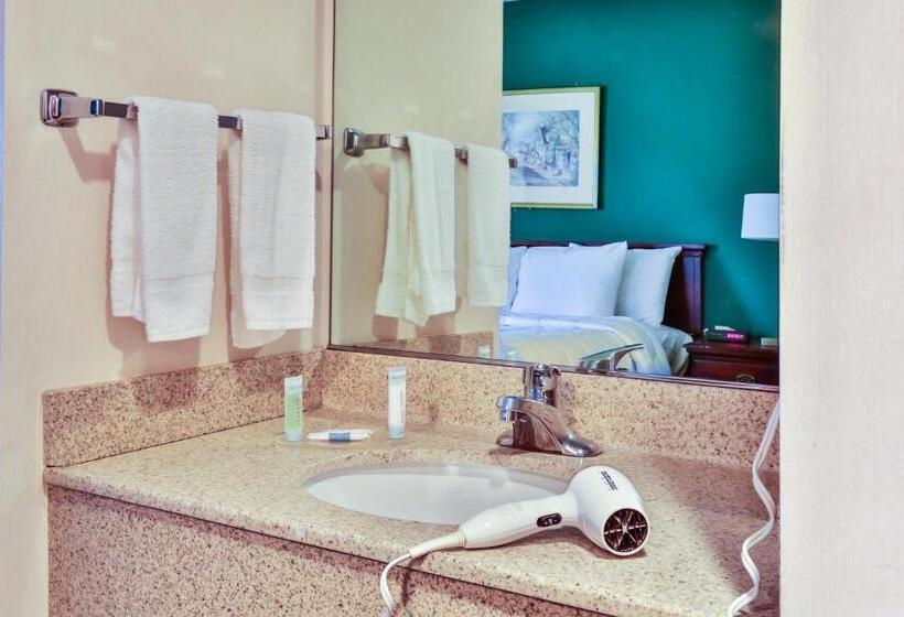 اتاق استاندارد با 2 تخت دوبل, The View Inn & Suites Bethlehem / Allentown / Lehigh Airport