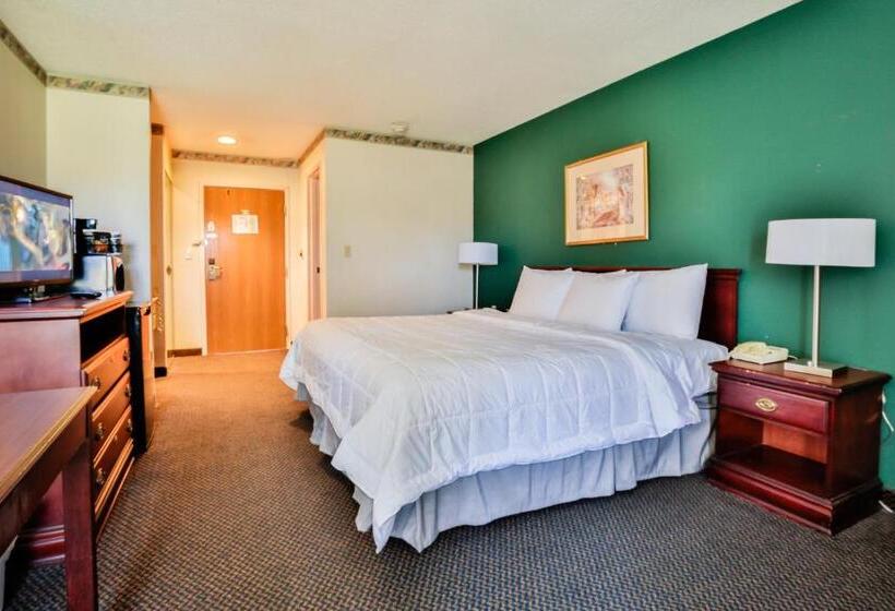 Chambre Standard Lit King Size, The View Inn & Suites Bethlehem / Allentown / Lehigh Airport