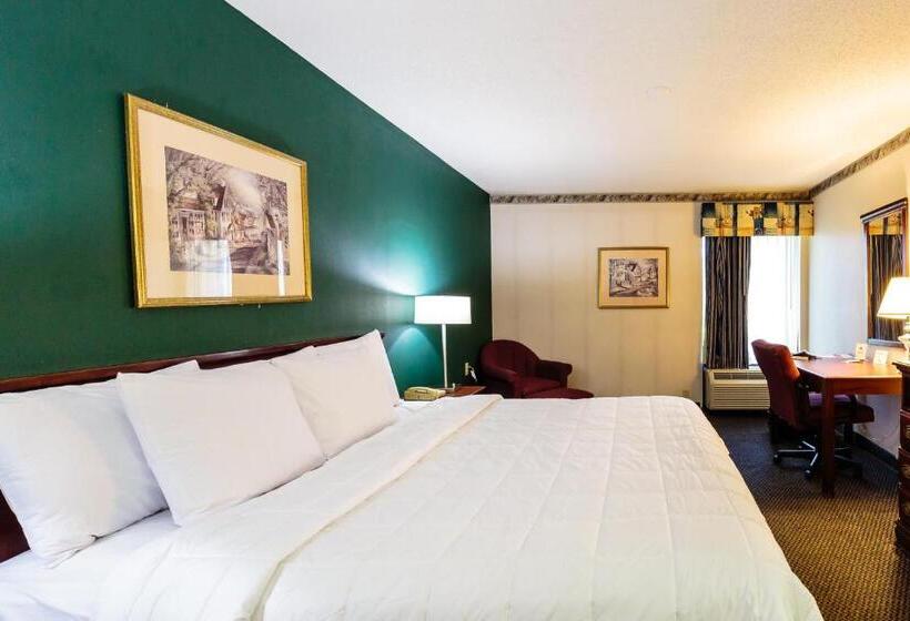 Chambre Standard Lit King Size, The View Inn & Suites Bethlehem / Allentown / Lehigh Airport