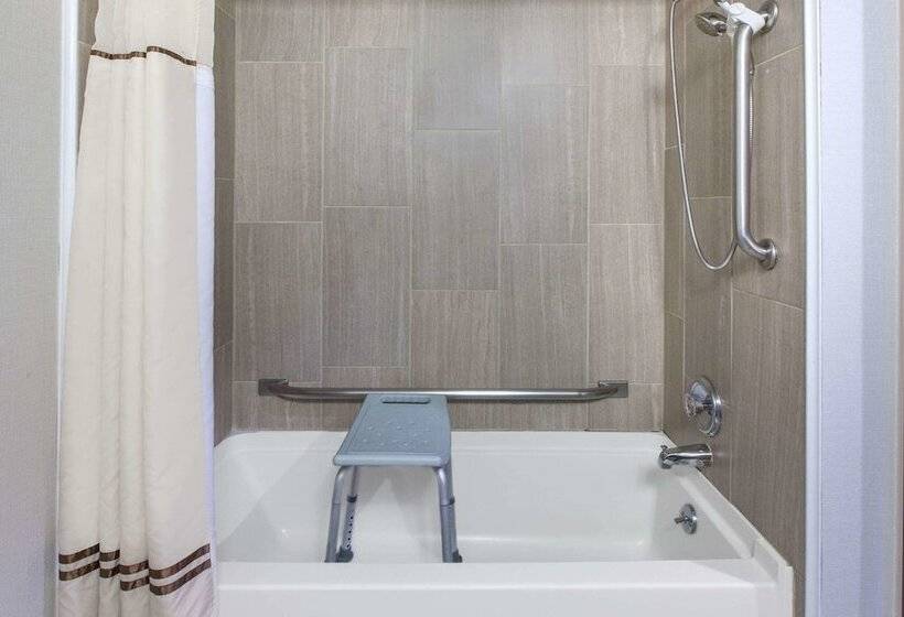 اتاق کلاس بیزنس, Wingate By Wyndham Detroit Metro Airport