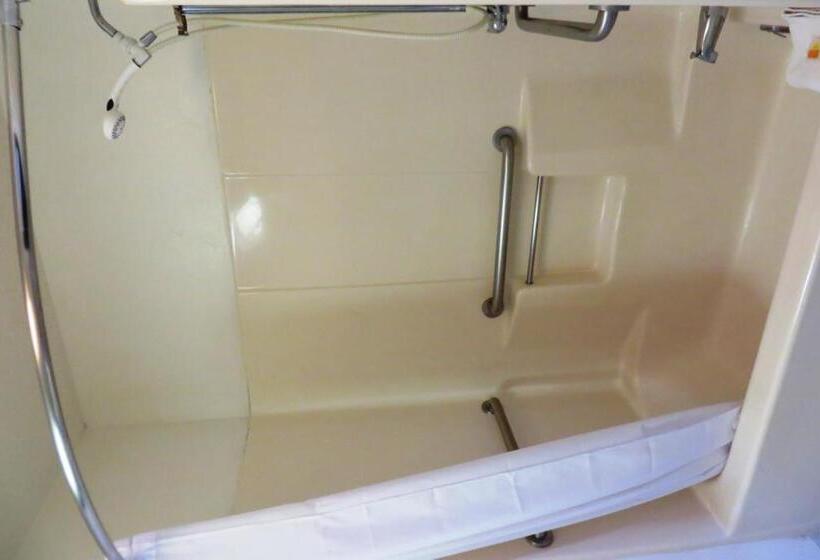 اتاق استاندارد با تخت بزرگ, Days Inn By Wyndham Plainfield