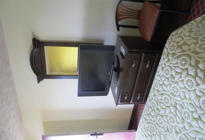اتاق استاندارد با تخت بزرگ, Days Inn By Wyndham Plainfield