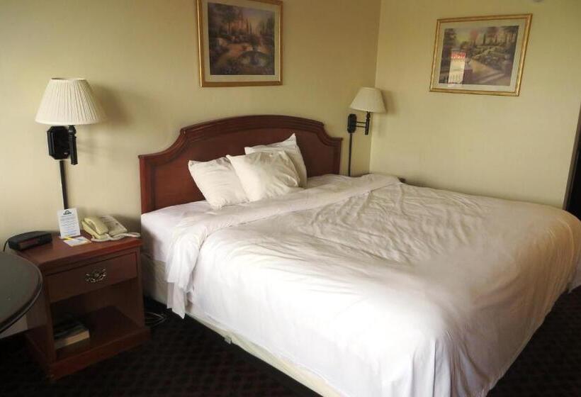 Standaardkamer met Kingsize Bed, Days Inn By Wyndham Plainfield