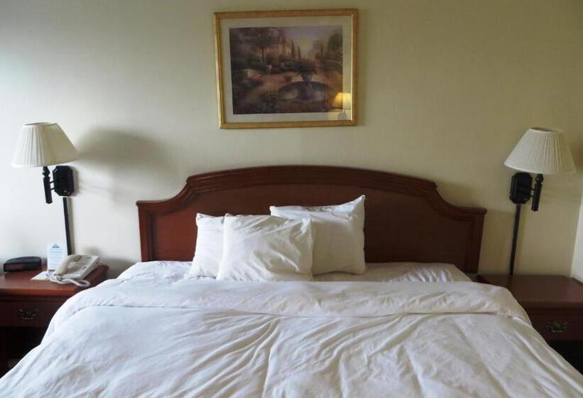 اتاق استاندارد با تخت بزرگ, Days Inn By Wyndham Plainfield