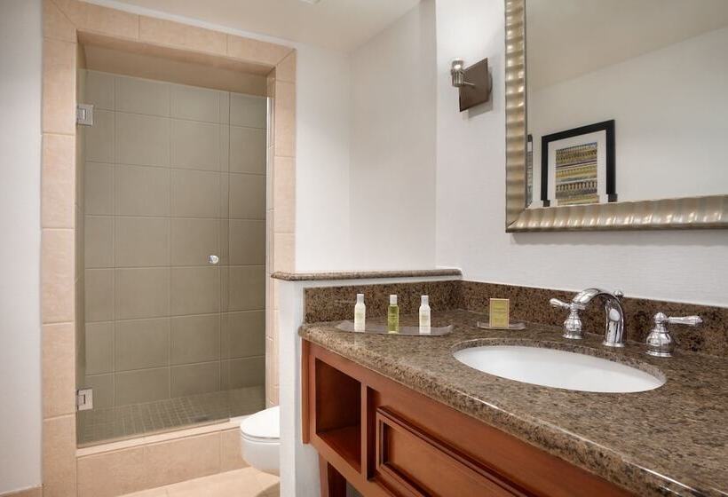 标准间带双人床, Doubletree By Hilton Hotel Albuquerque