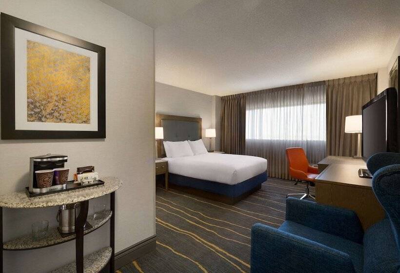标准工作室, Doubletree By Hilton Hotel Albuquerque
