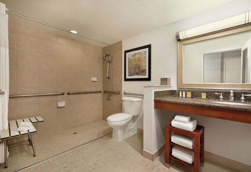 Standard Room Adapted for people with reduced mobility, Doubletree By Hilton  Albuquerque