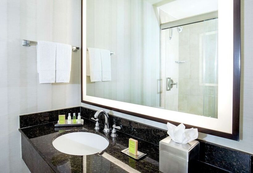سوییت جونیور, Doubletree By Hilton Hotel Nashville Downtown