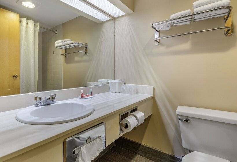 اتاق استاندارد با 2 تخت دوبل, Econo Lodge & Suites Southern Pines