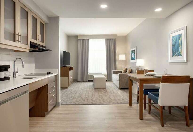 سوئیت با تخت بزرگ, Embassy Suites By Hilton Atlanta Buckhead