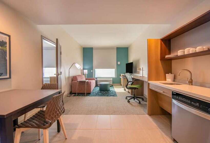 سوئیت با تخت بزرگ, Embassy Suites By Hilton Atlanta Buckhead