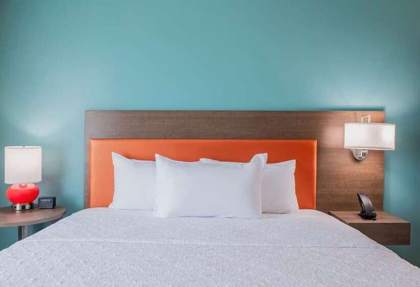 سوئیت با تخت بزرگ, Embassy Suites By Hilton Atlanta Buckhead