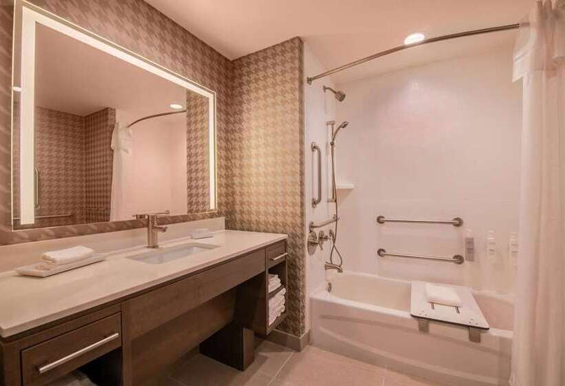 سوئیت با تخت بزرگ, Embassy Suites By Hilton Atlanta Buckhead