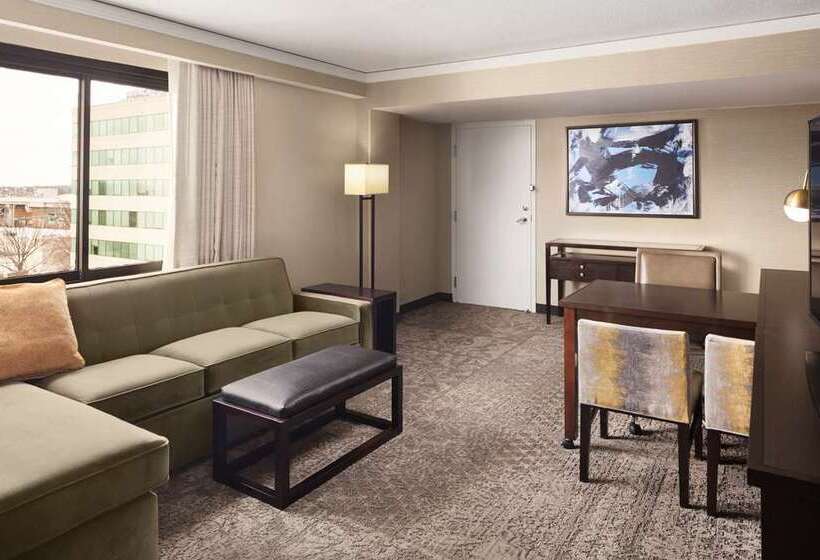 سوئیت با تخت بزرگ, Embassy Suites By Hilton Austin Downtown South Congress