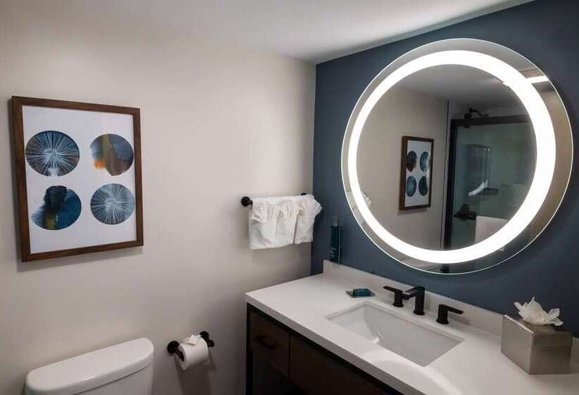 سوئیت با تخت بزرگ, Embassy Suites By Hilton Austin Downtown South Congress