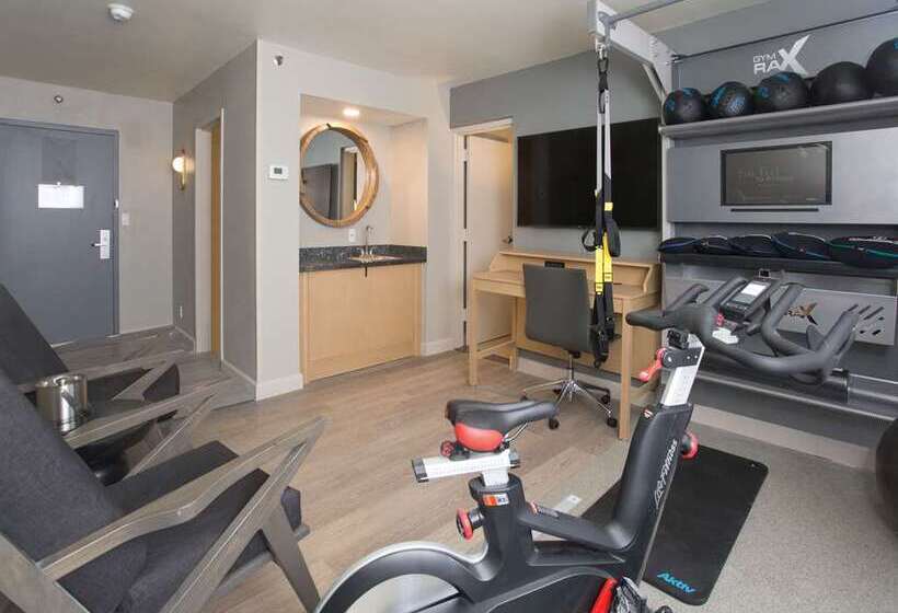 سوئیت با تخت بزرگ, Embassy Suites By Hilton Austin Downtown South Congress