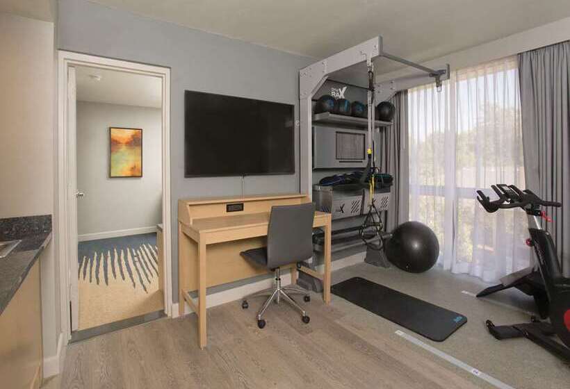 سوئیت با تخت بزرگ, Embassy Suites By Hilton Austin Downtown South Congress