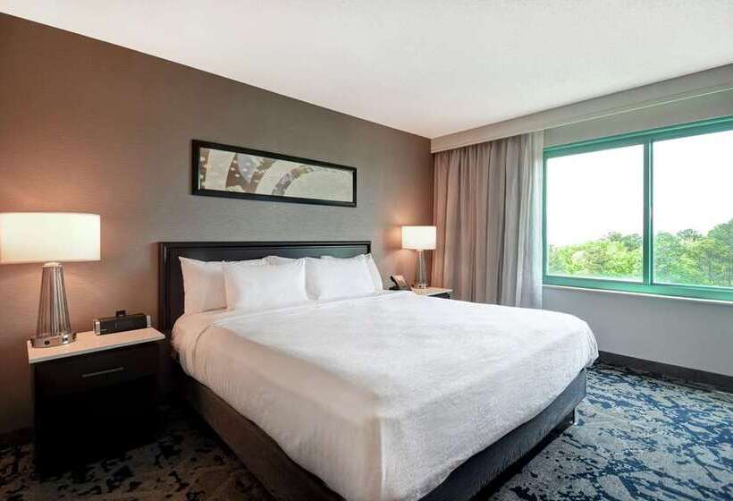 سوئیت با تخت بزرگ, Embassy Suites By Hilton Austin Downtown South Congress