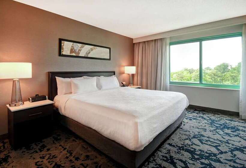 سوئیت با تخت بزرگ, Embassy Suites By Hilton Austin Downtown South Congress