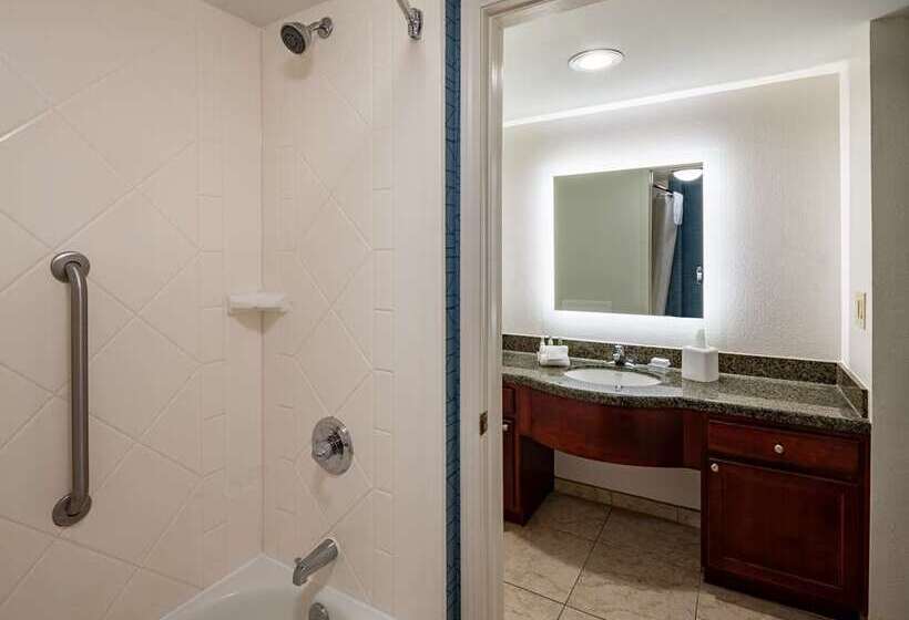 سوئیت با تخت بزرگ, Embassy Suites By Hilton Austin Downtown South Congress