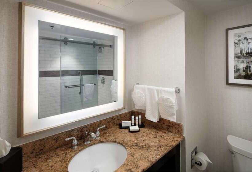 سوئیت با تخت بزرگ, Embassy Suites By Hilton Austin Downtown South Congress