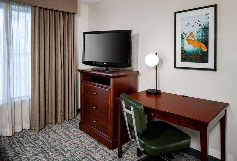 سوئیت با تخت بزرگ, Embassy Suites By Hilton Austin Downtown South Congress