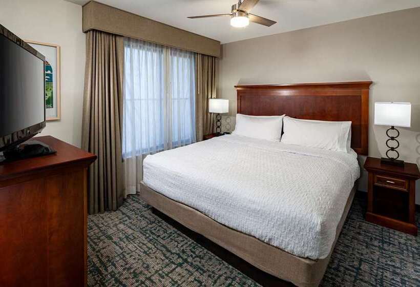 سوئیت با تخت بزرگ, Embassy Suites By Hilton Austin Downtown South Congress