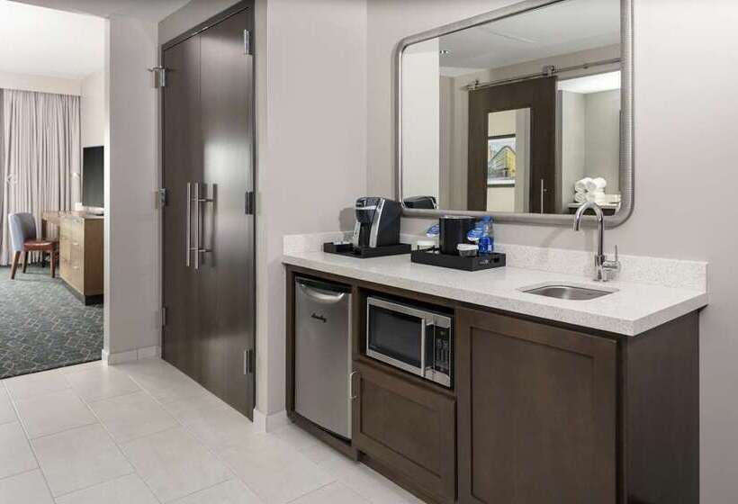 سوئیت با تخت بزرگ, Embassy Suites By Hilton Austin Downtown South Congress