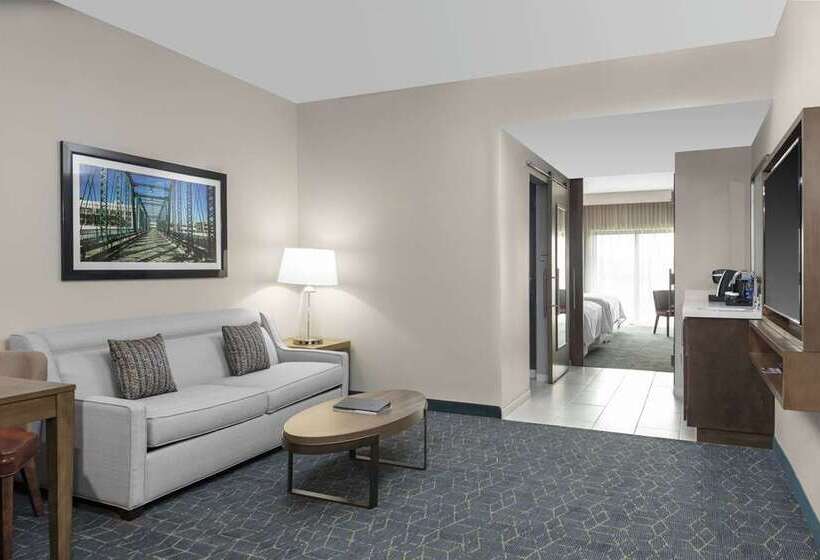 سوئیت با تخت بزرگ, Embassy Suites By Hilton Austin Downtown South Congress