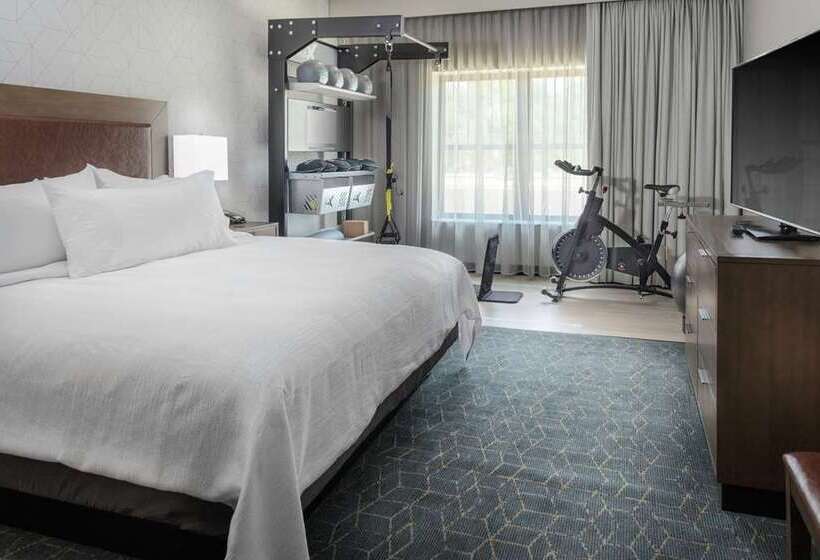سوئیت با تخت بزرگ, Embassy Suites By Hilton Austin Downtown South Congress