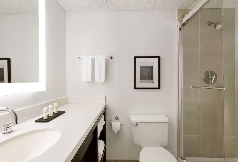 سوییت, Embassy Suites By Hilton Chicago Lombard Oak Brook