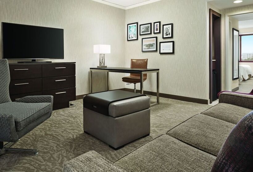 جناح لذوى الاحتياجات الخاصة, Embassy Suites By Hilton Chicago North Shore Deerfield