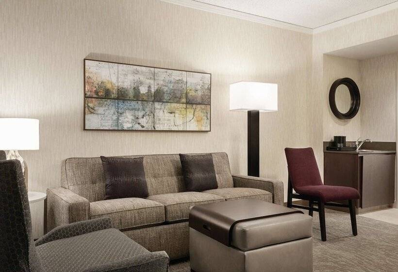 Suite Premium, Embassy Suites By Hilton Chicago North Shore Deerfield