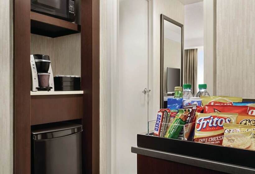 Suite Premium, Embassy Suites By Hilton Chicago North Shore Deerfield