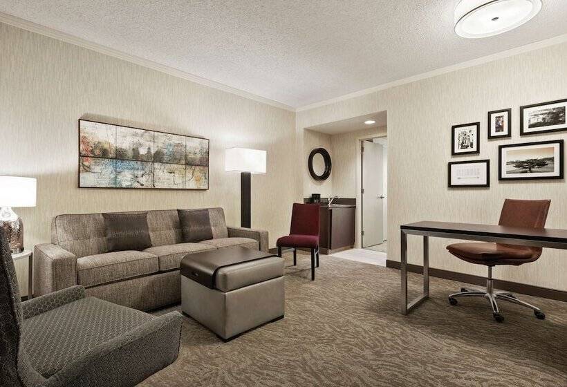 Suite Premium, Embassy Suites By Hilton Chicago North Shore Deerfield