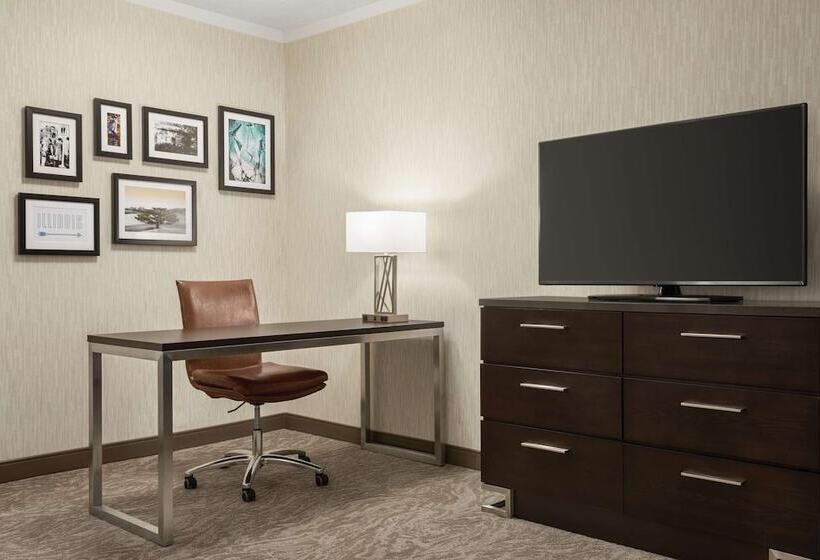 Suite, Embassy Suites By Hilton Chicago North Shore Deerfield