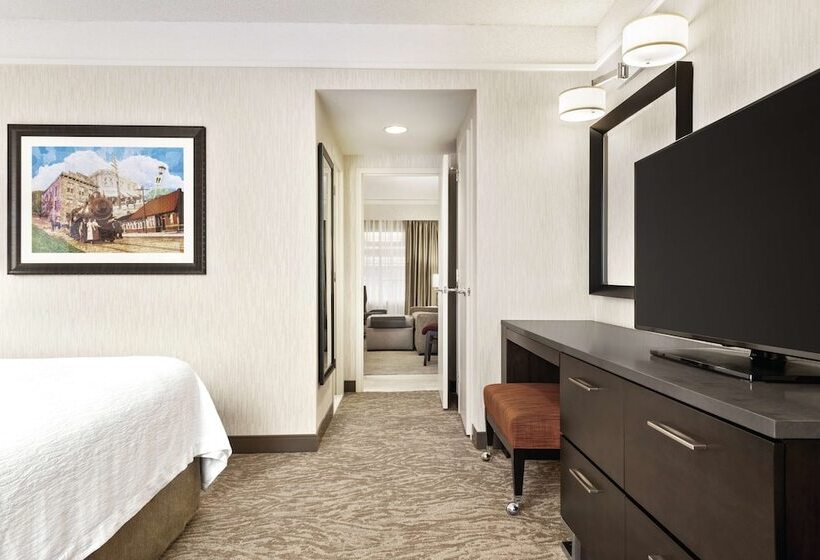 Suite Premium, Embassy Suites By Hilton Chicago North Shore Deerfield