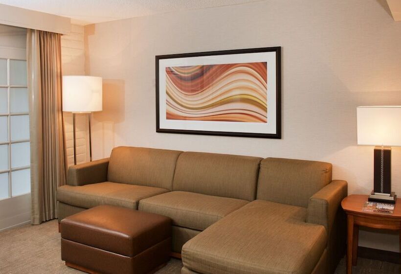 Suite Adapted for people with reduced mobility, Embassy Suites By Hilton El Paso