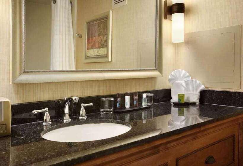 سوئیت با تخت بزرگ, Embassy Suites By Hilton Indianapolis Downtown