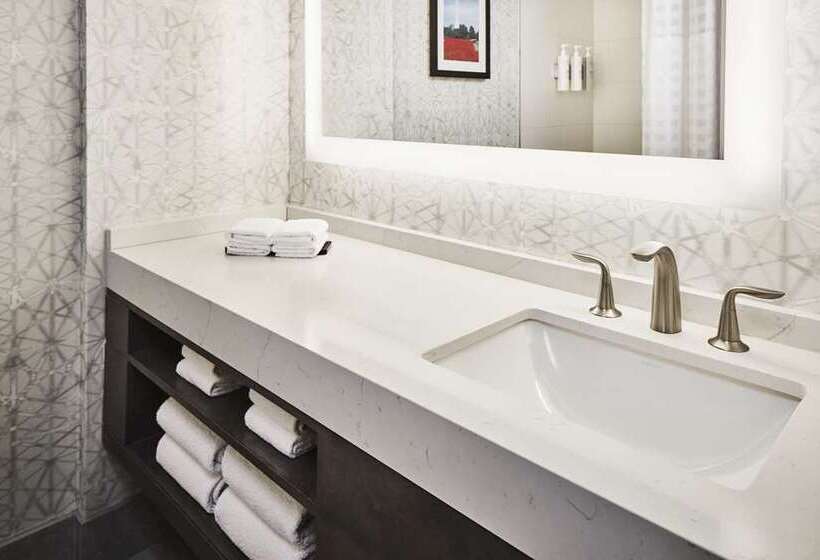 سوئیت با تخت بزرگ, Embassy Suites By Hilton Indianapolis Downtown