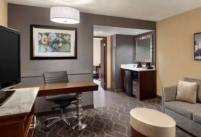 سوئیت پریمیوم, Embassy Suites By Hilton Indianapolis Downtown
